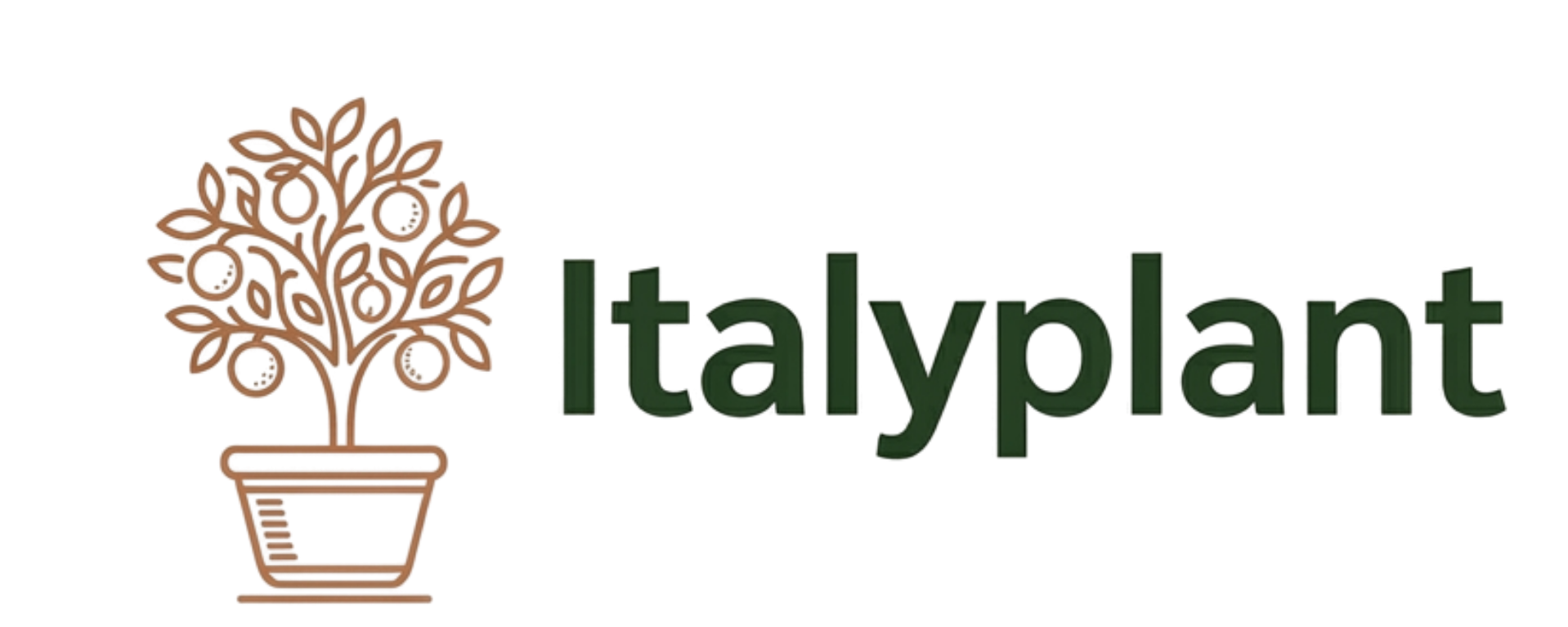 Italyplant
